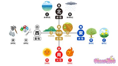 五行 木 性質|【陰陽五行・十干】甲木・乙木の性格／性質／本能【。